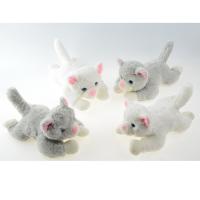 PL62203 PLUSH CAT